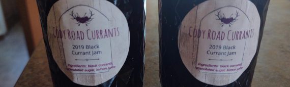 Producer Feature: Cody Road Black Currants