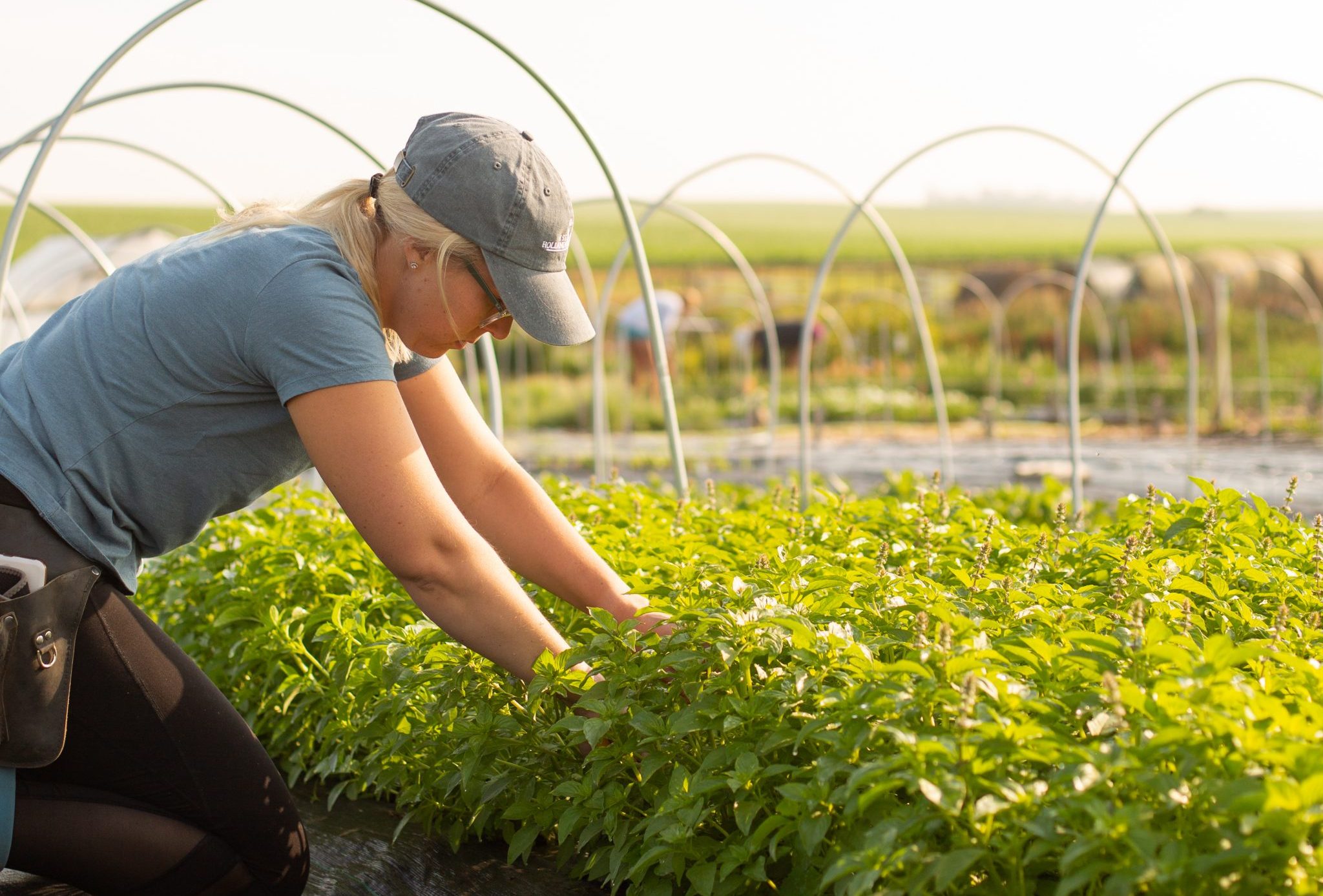 Cut Flower Farmer Workshop in Brookings - South Dakota Specialty 
