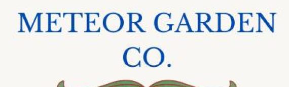 Meteor Garden Company