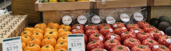 Last Chance for South Dakota Grown Tomatoes