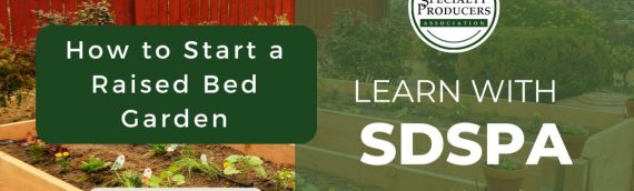 Video: How to Start a Raised Bed Garden