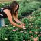 Fleurish Flower Farm Selected as 2023 Specialty Crop Producer of the Year