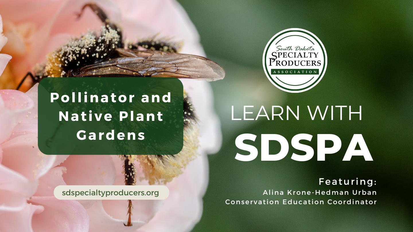 Pollinator Plants and Gardens