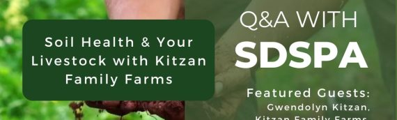 Video: Soil Health & Your Livestock