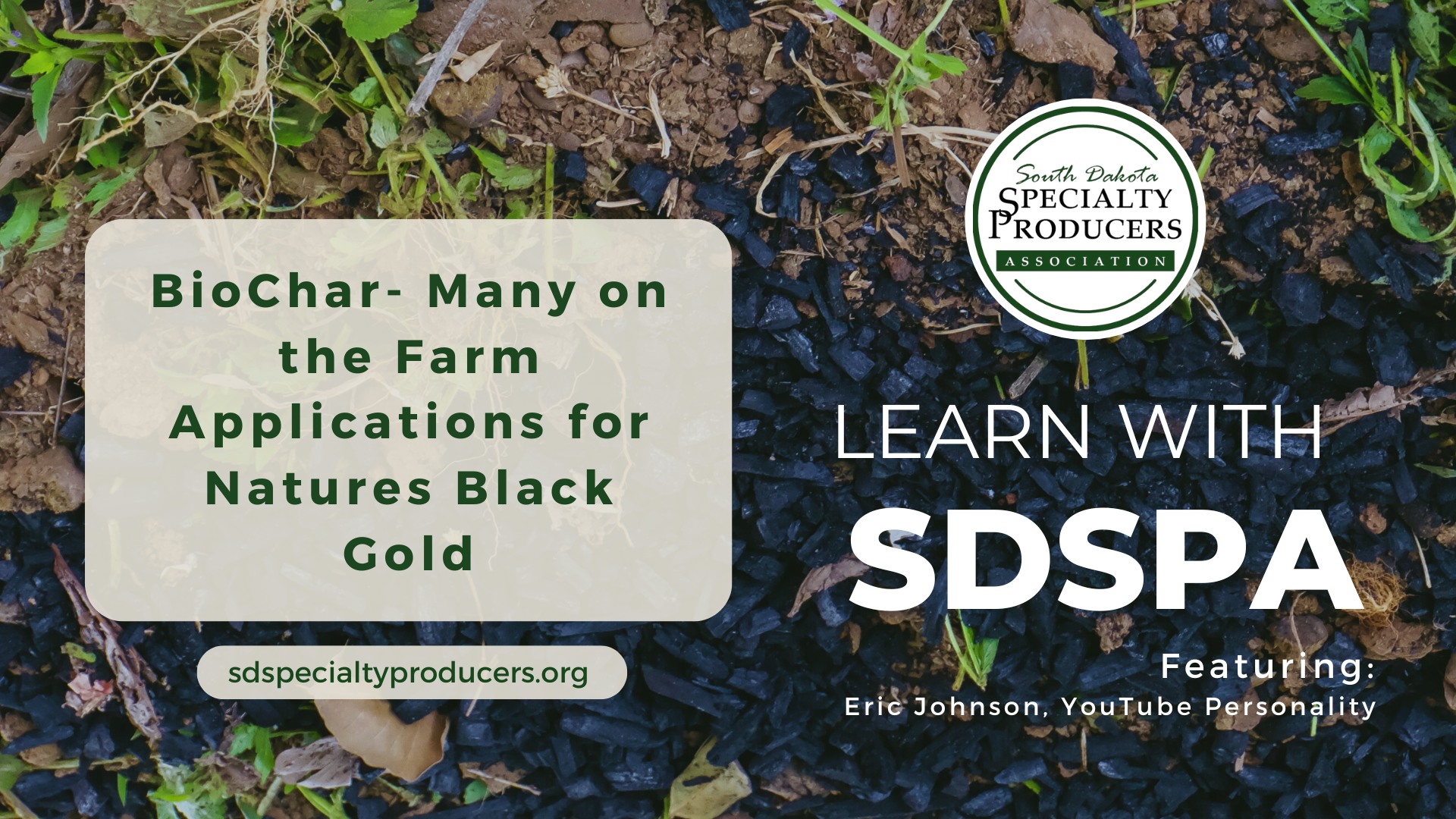 Biochar