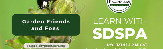 Video: Garden Friends and Foes