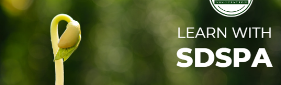 Video: Seed Starting: Seed to Sprout