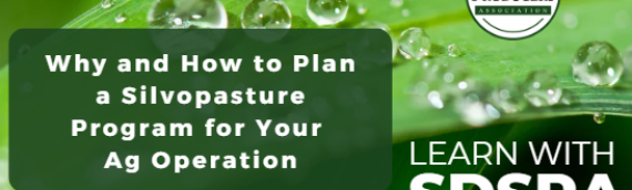 Video: Why and How to Plan a Silvopasture Program for Your Ag Operation