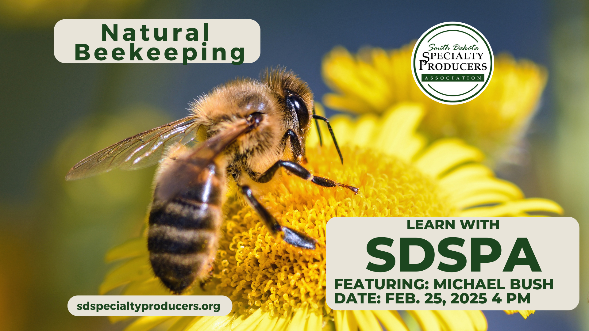 Natural Bee Cover