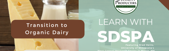 Video: Transition to Organic Dairy Production