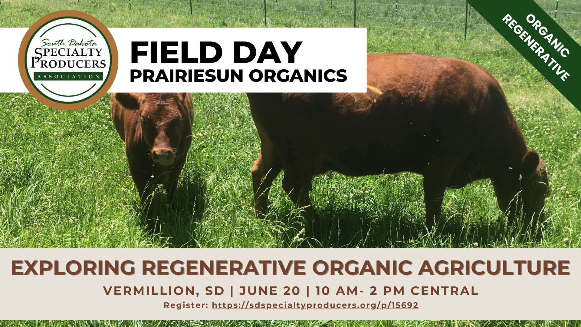 Event Cover- Field Day Prairie Sun