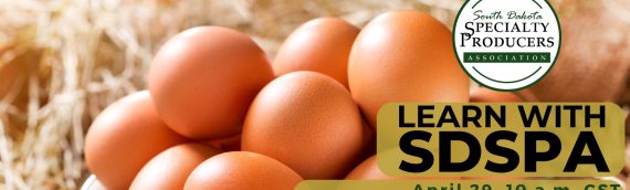 Video: Getting Started in the Egg Business