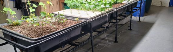 SDSPA Offering Urban Ag Lesson Plans