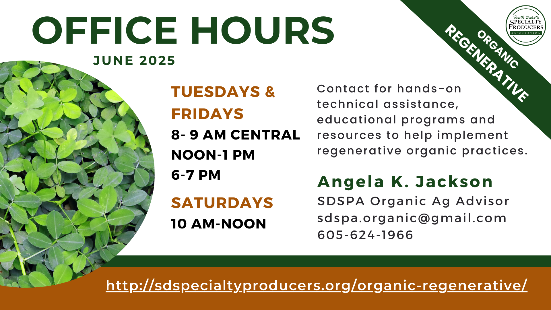 June Office Hours RAPP
