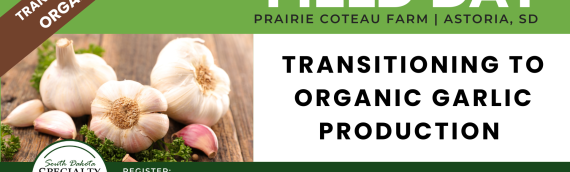 Field Day to Showcase Organic Garlic Production