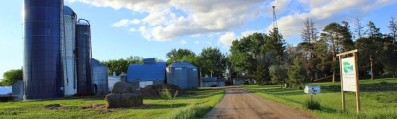 Organic Field Day Features Diversified Revenue Streams