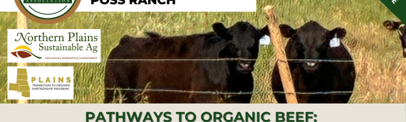 Field Day to Showcase Transitioning to Organic Beef and Regenerative Grazing