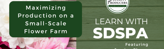 Video: Maximizing Production on A Small Scale Flower Farm