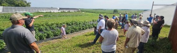 Haroldson Farms Shares Experiences in Organic Vegetable Production
