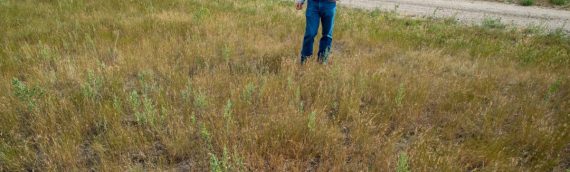 Poss Ranch Hosts Field Day on Pathways to Organic Beef