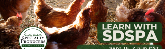 Video: Composting Chicken Manure: Turning Poop into Gold