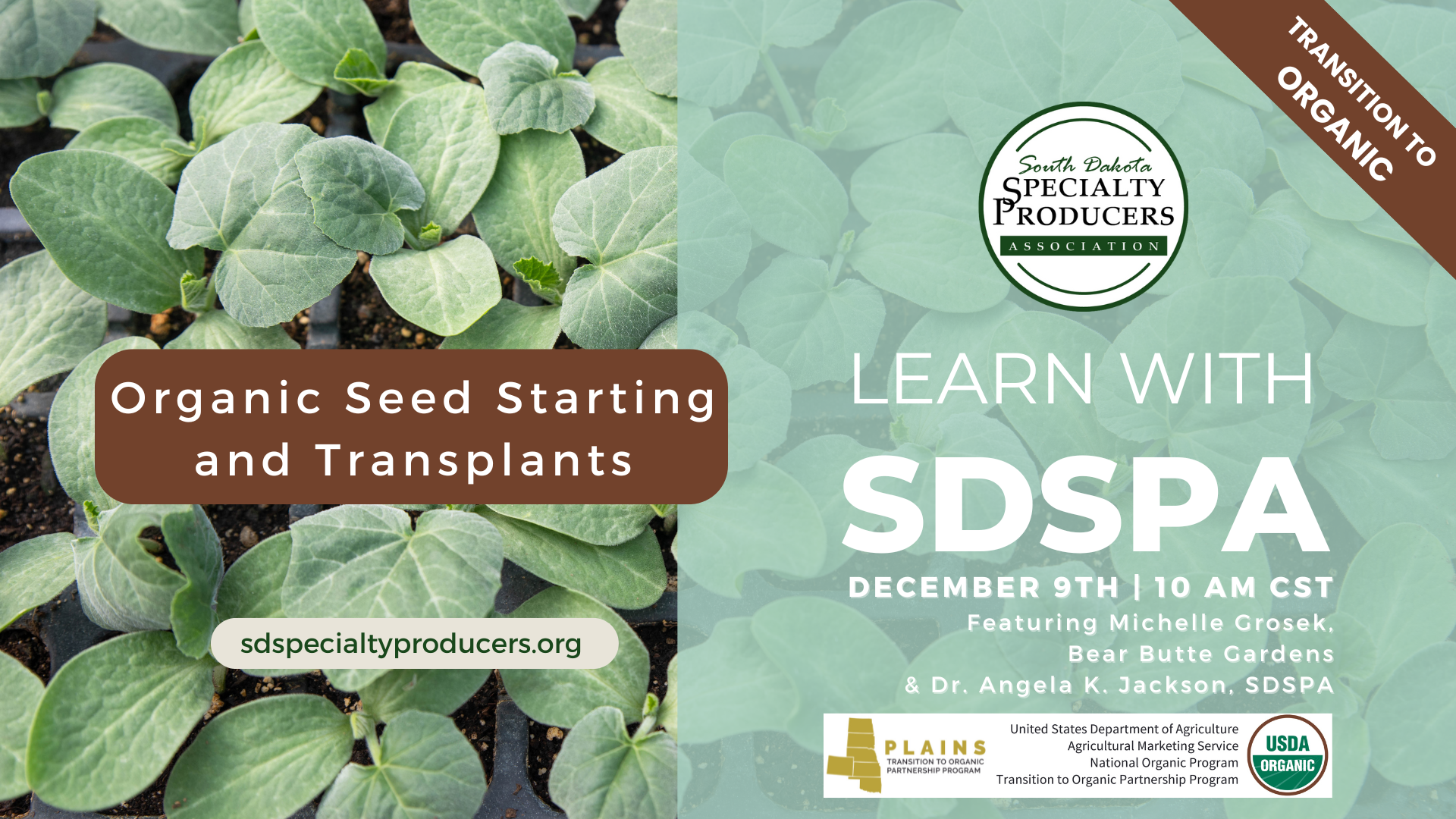 Webinar Cover- Nov TOPP- Seed 2