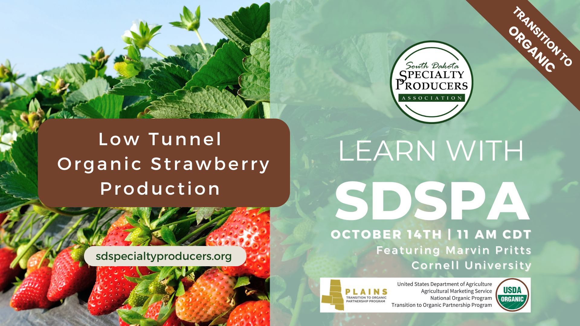 Webinar Cover- Oct TOPP- Low Tunnel Strawberry