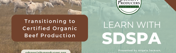 Video: Transitioning to Organic Beef Production