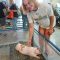 S.D. Farm to School Update- Sept. 2025