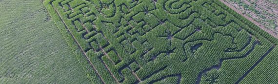 Mazing Acres One of 36 Farms Across North America Paying Tribute to Lainey Wilson with Corn Maze