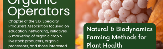 Video: Natural and Biodynamic Farming Methods for Plant Health
