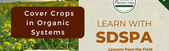 Video: Cover Crops for Soil Health