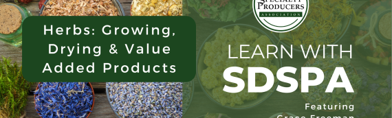 Video: Herbs- Growing, Drying, & Value Added Products