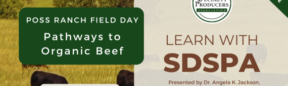 Video: Poss Ranch Pathways to Organic Beef Field Day