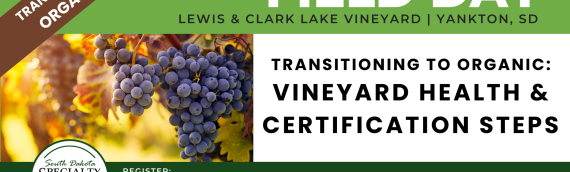 Vineyard Field Day to Explore Organic Transition, Certification and Grape Production