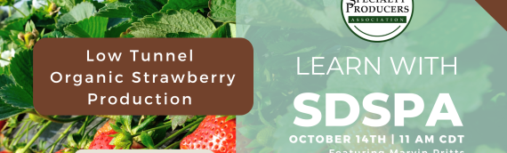 Webinar to Explore Low Tunnel Organic Strawberry Production
