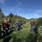 Lewis and Clark Lake Vineyard Tour Highlights Organic Management Principles