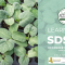 December Webinar to Guide Successful Organic Seed Starting Techniques