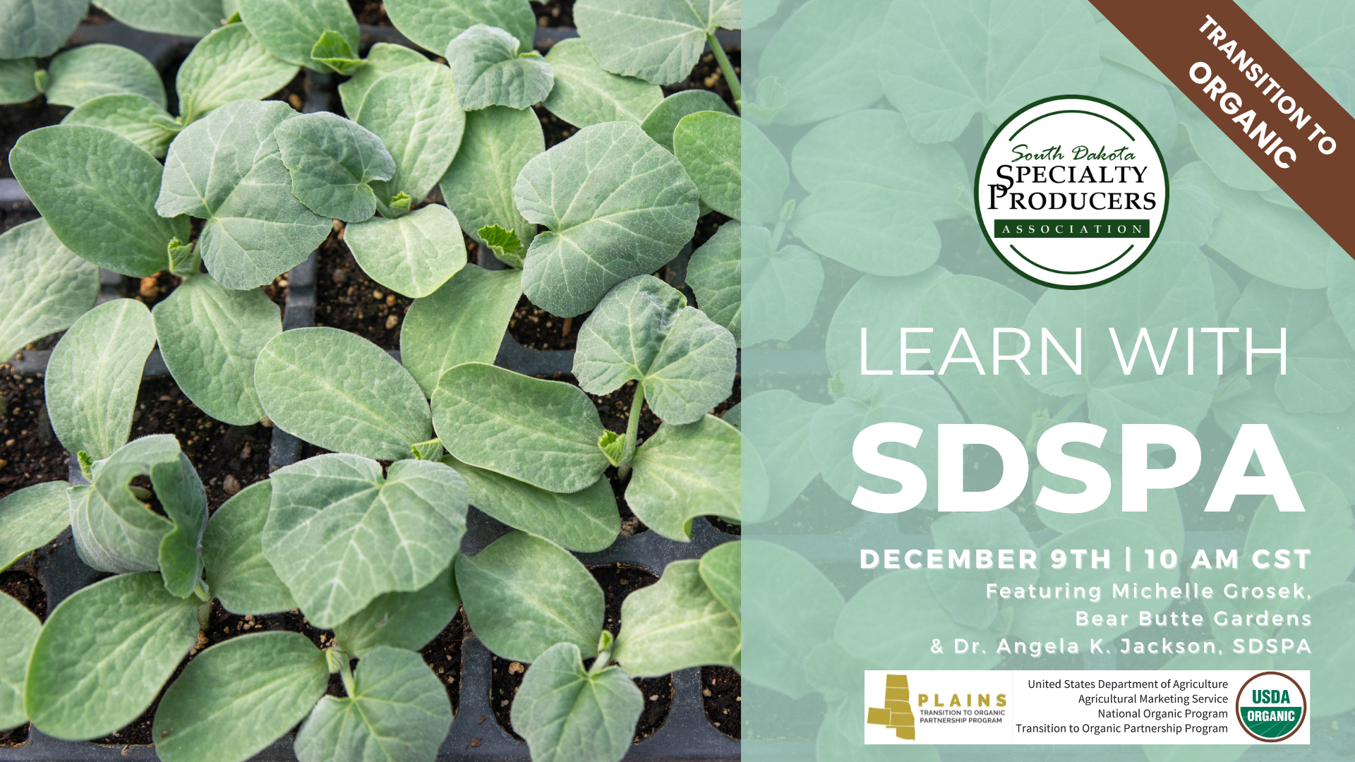 December Webinar to Guide Successful Organic Seed Starting Techniques