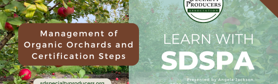 Video: Management of Organic Orchards and Certification Steps