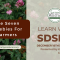 Webinar to Highlight How Cover Crops and Diverse Rotations Build Soil Health