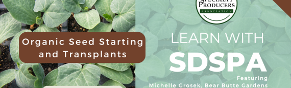 Video: Organic Seed Starting and Transplants