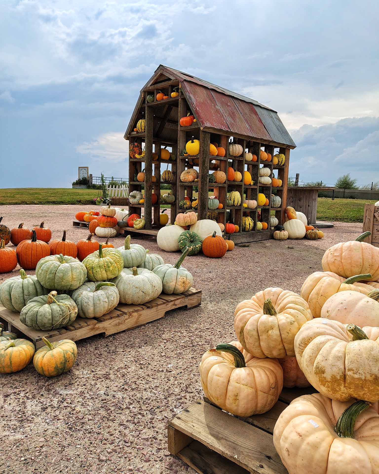 Producer Feature: Two Little Bees Family Farm