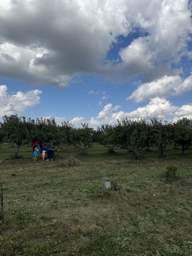 Meet-Greet-Country Apple-Apple Orchard-IMG_5774 copy