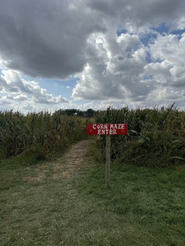 Meet-Greet-Country Apple-Corn Maze-IMG_5744 copy