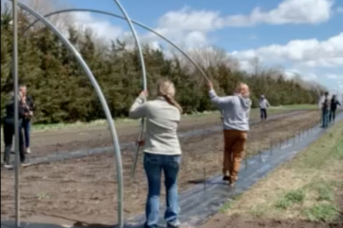 Cedar Creek High Tunnel Workshop 2022